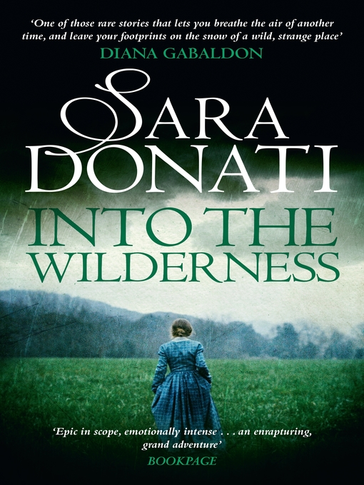 Cover image for Into the Wilderness